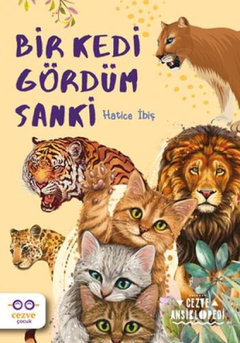 Cezve Ansiklopedi - Bir Kedi Gördüm Sanki  Frontansicht 1