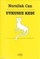 Uykusuz Kedi  Frontansicht 1