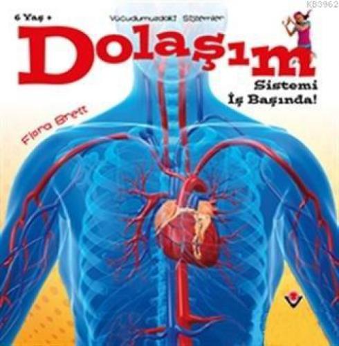 Dolaşım Sistemi İş Başında! - Vücudumuzdaki Sistemler  Frontansicht 1