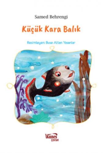 Küçük Kara Balık  Frontansicht 1