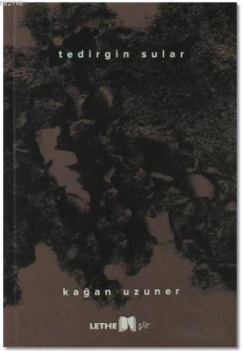 Tedirgin Sular  Frontansicht 1