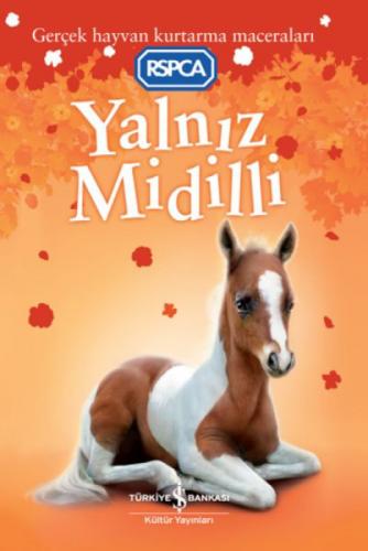 Yalnız Midilli  Frontansicht 1