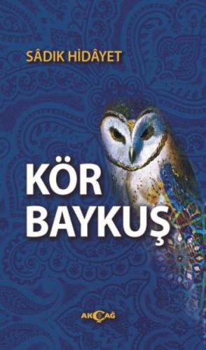 Kör Baykuş  Frontansicht 1