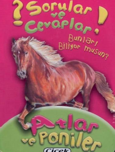 Atlar ve Poniler Kart Sorular ve Cevaplar Dizisi 2  Frontansicht 1