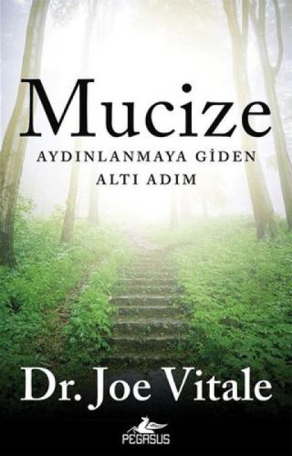 Mucize  Frontansicht 1
