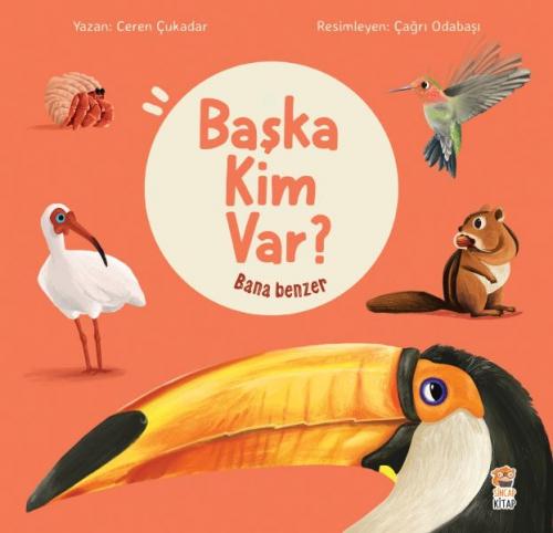Bana Benzer - Başka Kim Var  Frontansicht 1