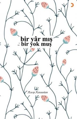 Bir Yar mış Bir Yok muş  Frontansicht 1
