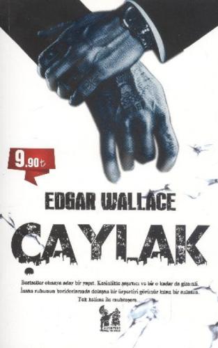 Çaylak  Frontansicht 1