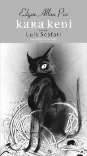 Kara Kedi  Frontansicht 1