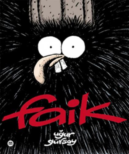Faik  Frontansicht 1
