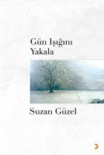 Gün Işığını Yakala  Frontansicht 1