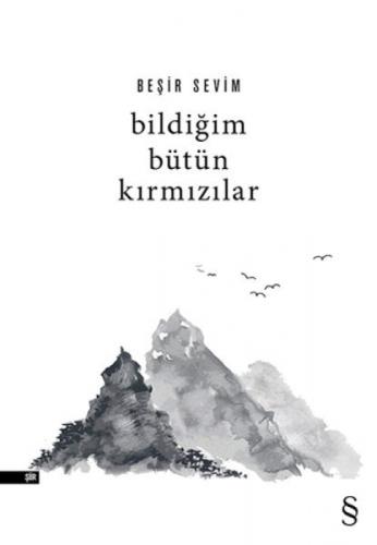 Bildiğim Bütün Kırmızılar  Frontansicht 1
