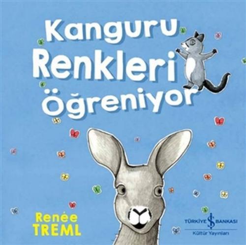 Kanguru Renkleri Öğreniyor  Frontansicht 1