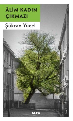Alim Kadın Çıkmazı  Frontansicht 1