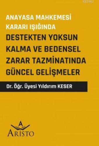 Destekten Yoksun Kalma ve Bedensel Zarar Tazminatında Güncel Gelişmeler  Frontansicht 1
