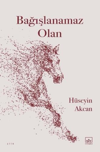 Bağışlanamaz Olan  Frontansicht 1