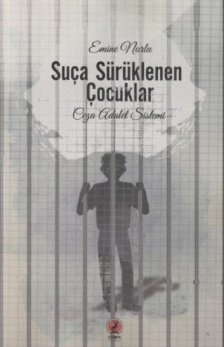 Suça Sürüklenen Çocuklar  Frontansicht 1