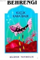 Küçük Kara Balık  Frontansicht 1