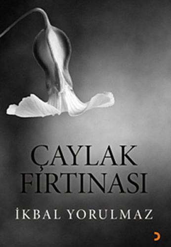 Çaylak Fırtınası  Frontansicht 1