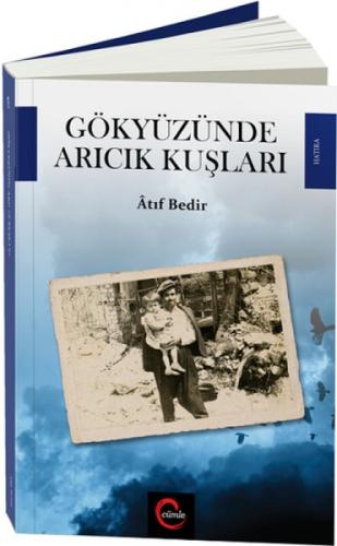 Gökyüzünde Arıcık Kuşları  Frontansicht 1