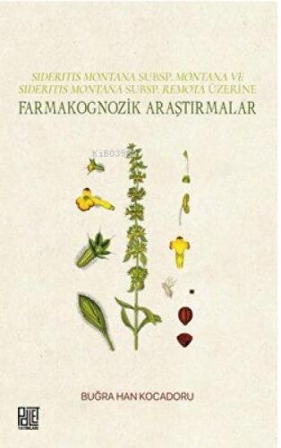 Farmakognozik Araştırmalar - Sideritis Montana Subsp.Montana ve Sideritis Montana Subsp.Remota Üzeri  Frontansicht 1