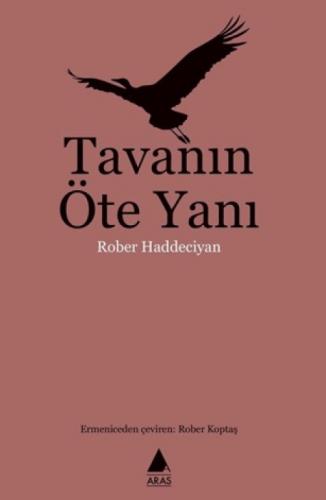 Tavanın Öte Yanı  Frontansicht 1