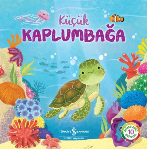 Küçük Kaplumbağa  Frontansicht 1