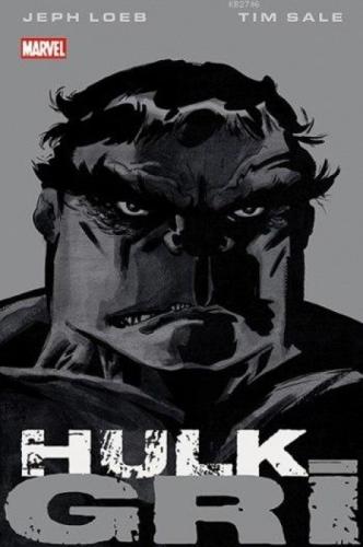 Hulk - Gri  Frontansicht 1