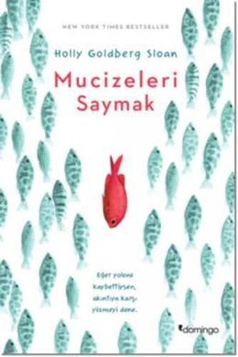 Mucizeleri Saymak  Frontansicht 1