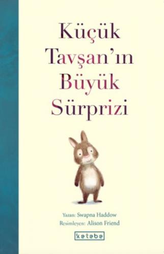 Küçük Tavşan'ın Büyük Sürprizi  Frontansicht 1