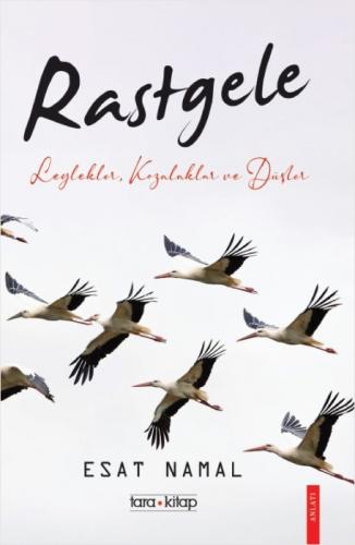 Rastgele;Leylekler, Kozalaklar ve Düşler  Frontansicht 1