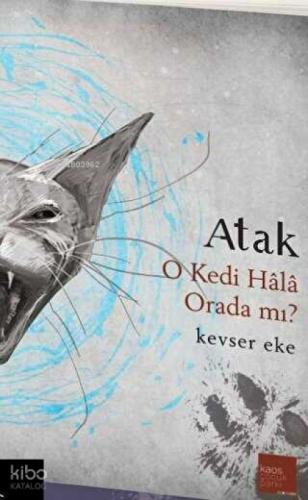 Atak  Frontansicht 1