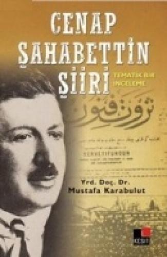 Cenap Şahabettin Şiiri; Tematik Bir İnceleme  Frontansicht 1