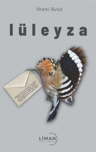 Lüleyza  Frontansicht 1