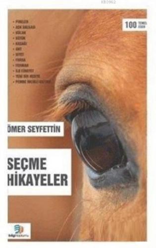 Seçme Hikayeler  Frontansicht 1