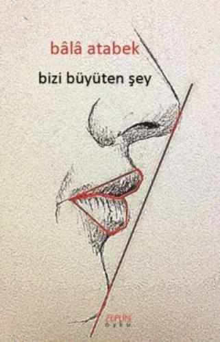 Bizi Büyüten Şey  Frontansicht 1