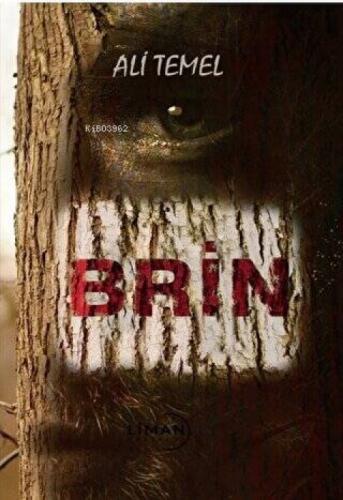 Brin  Frontansicht 1