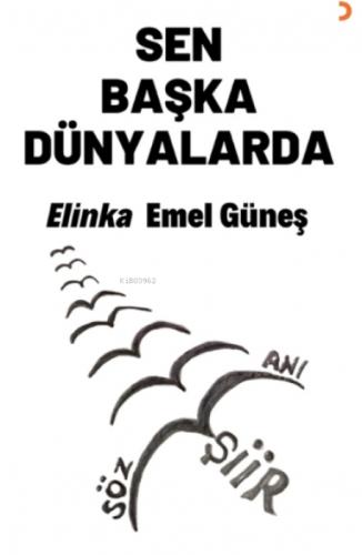 Sen Başka Dünyalarda  Frontansicht 1