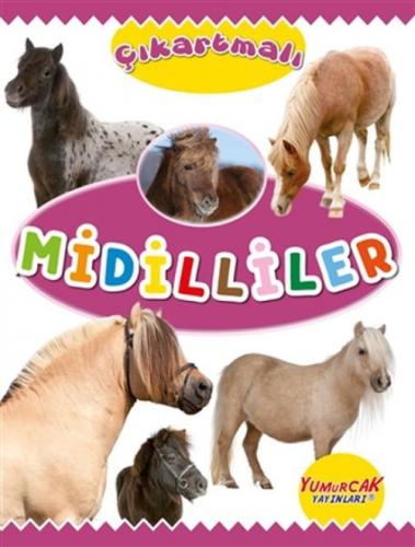 Çıkartmalı Midilliler  Frontansicht 1