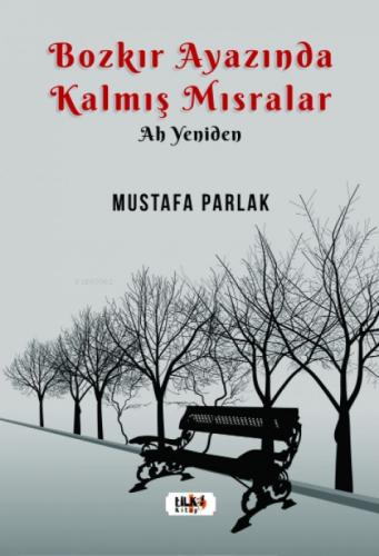Bozkır Ayazında Kalmış Mısralar  Frontansicht 1