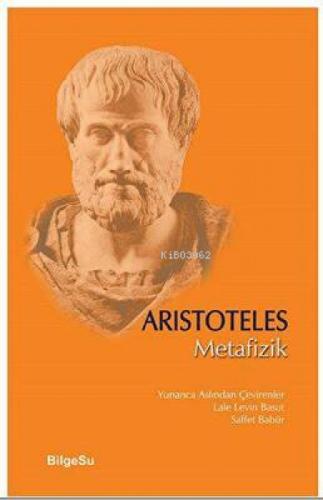 Metafizik  Frontansicht 1