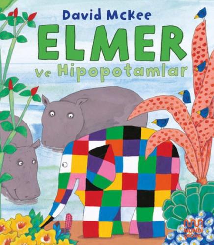 Elmer ve Hipopotamlar  Frontansicht 1