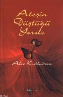 Ateşin Düştüğü Yerde  Frontansicht 1