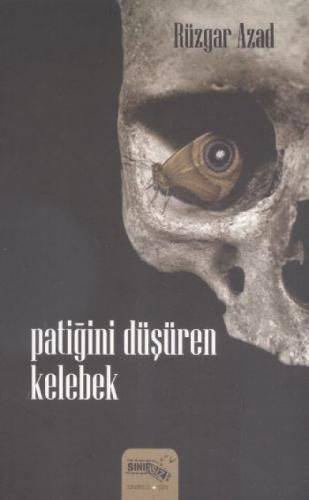 Patiğini Düşüren Kelebek  Frontansicht 1
