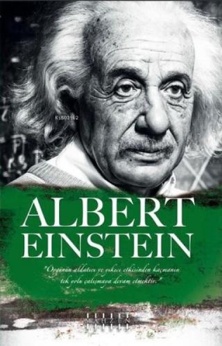 Albert Einstein  Frontansicht 1