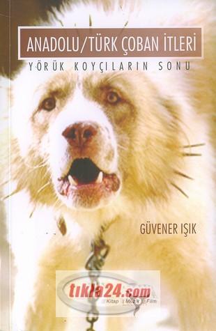 Anadolu/türk Çoban İtleri; Yörük Koyçıların Sonu  Frontansicht 1