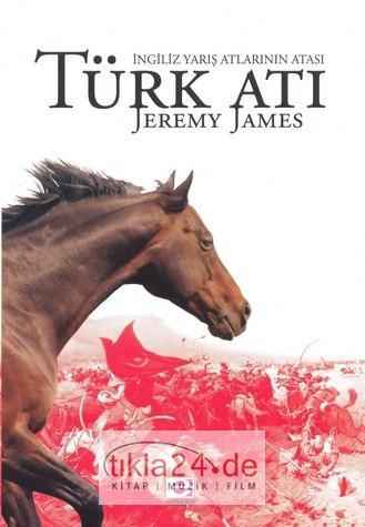 Türk Atı  Frontansicht 1
