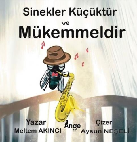 Sinekler Küçüktür ve Mükemmeldir  Frontansicht 1