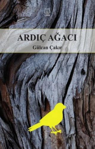 Ardıç Ağacı  Frontansicht 1