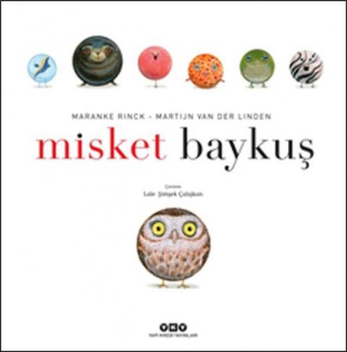 Misket Baykuş  Frontansicht 1